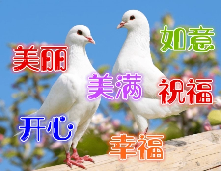 早安问候语：早上好，愿你有一个充满力量和能量的一天